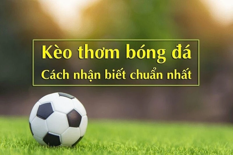 Đặc trưng cơ bản nhất của kèo cá độ 3 cửa