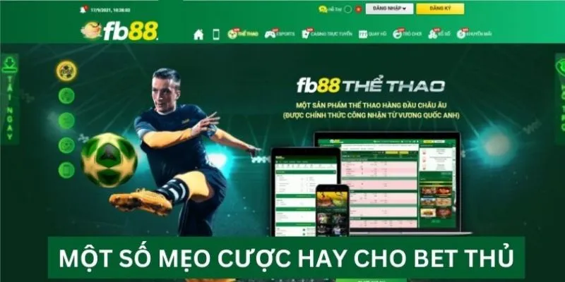 Đăng nhập hệ thống fb88 để tham gia cá độ bóng đá