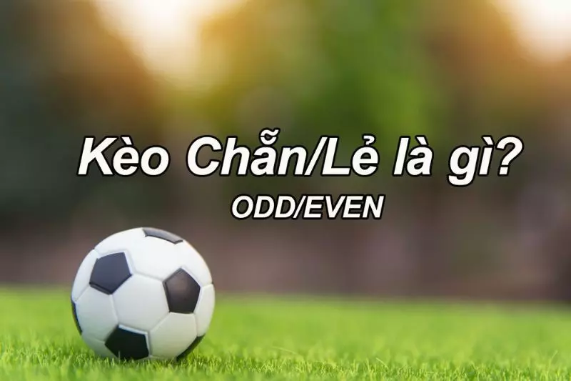 Giải đáp thông tin chi tiết về kèo chẵn lẻ trong bóng đá