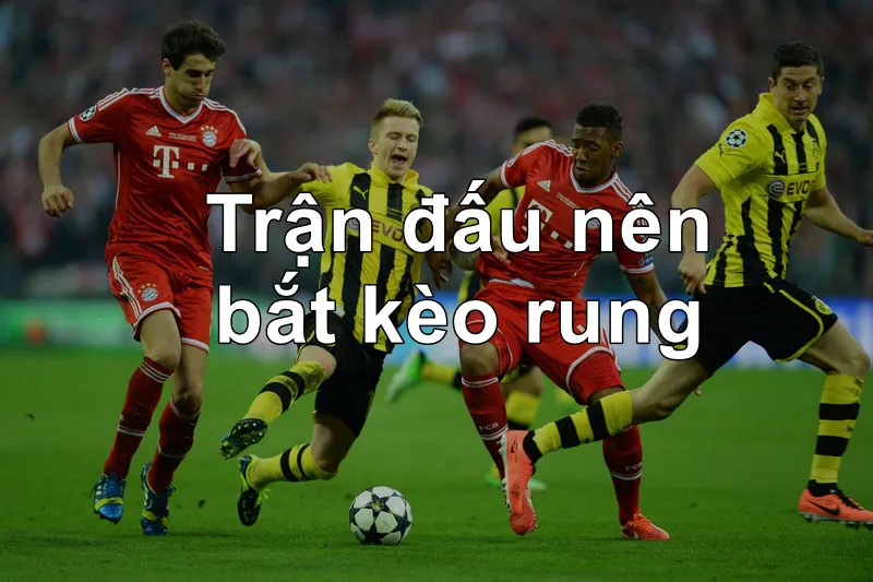 Trận đấu bạn nên tham gia bắt kèo rung là gì?
